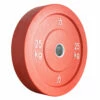 Riot Bumper Plates - Farbig