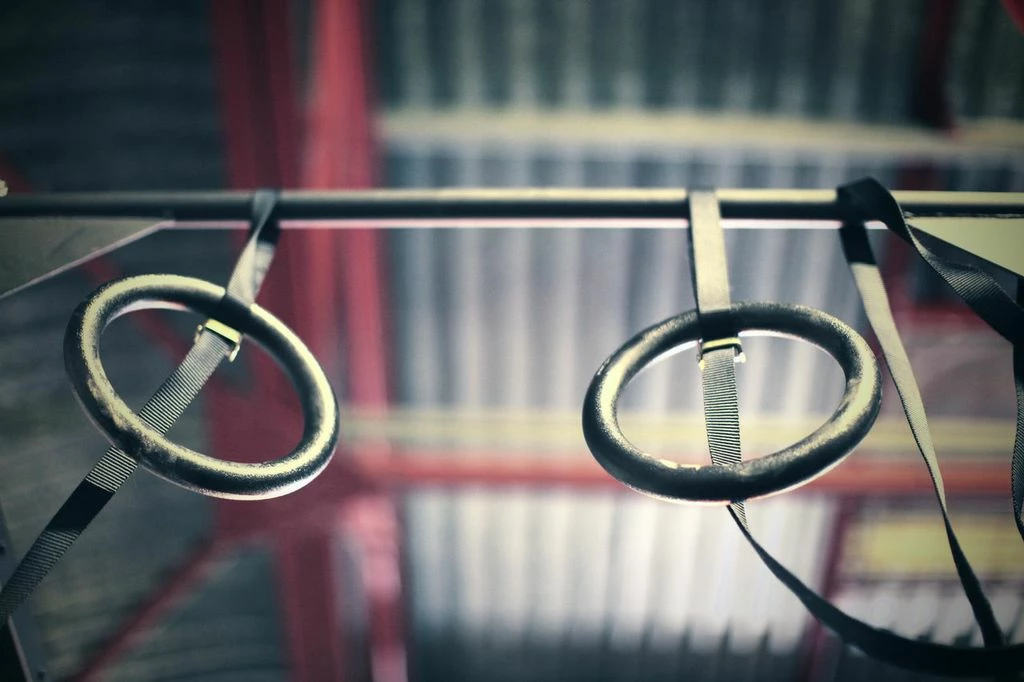 Verstellbare Gymnastikringe, 1 Paar – Bild 2